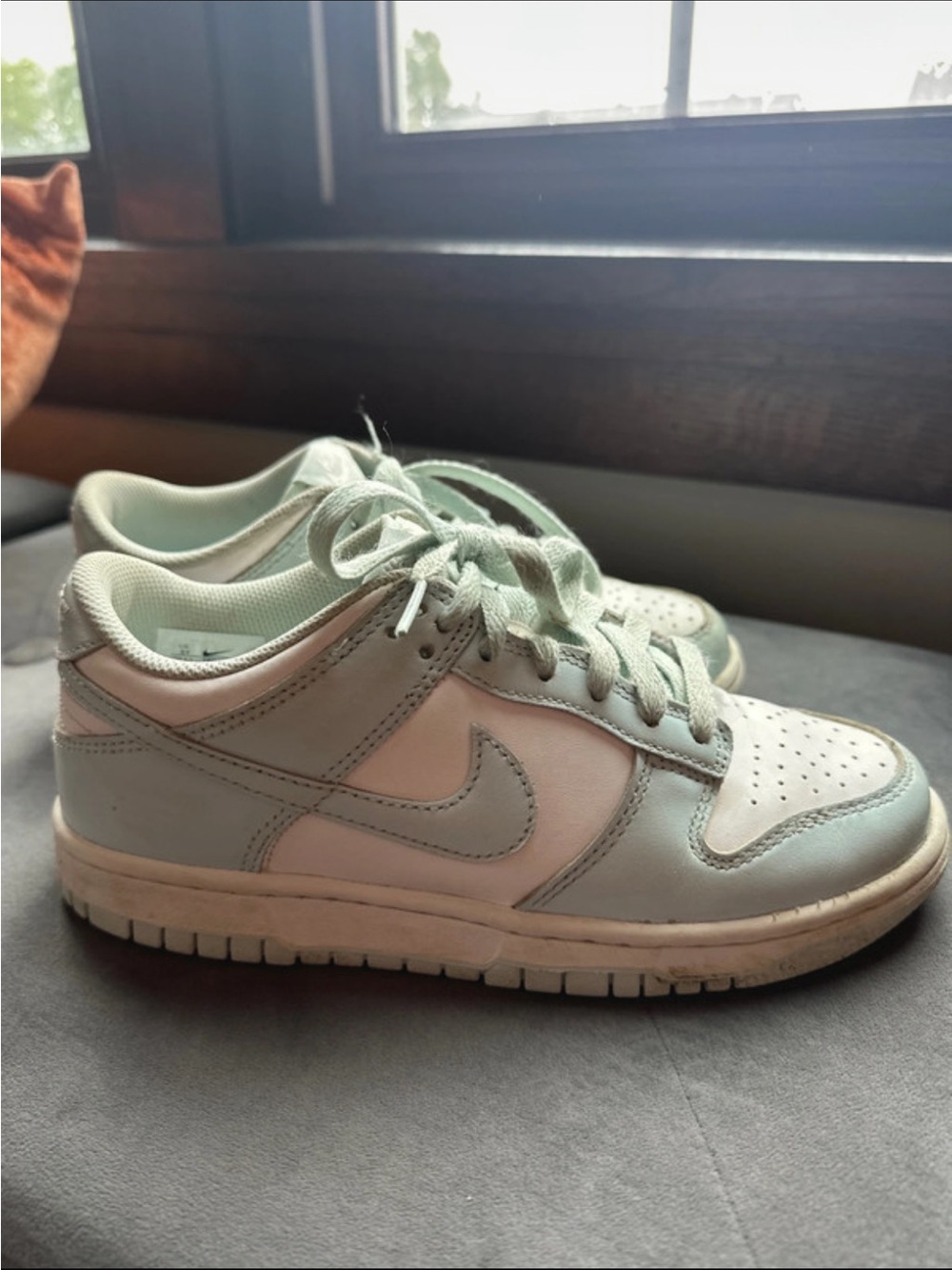 Nike dunks
